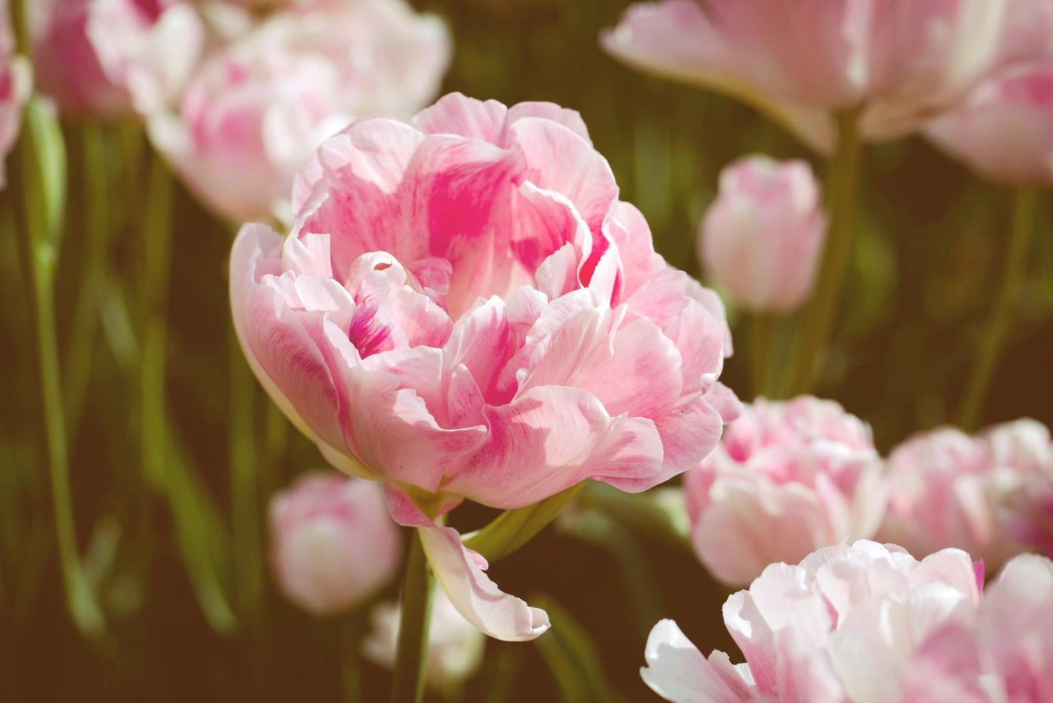 Робочий процес флористичного дизайну з інструментами та матеріалами